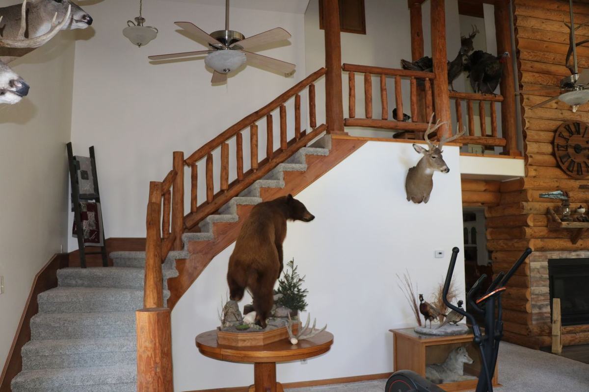 Molzahn Lodge at Double D Whitetail Ranch