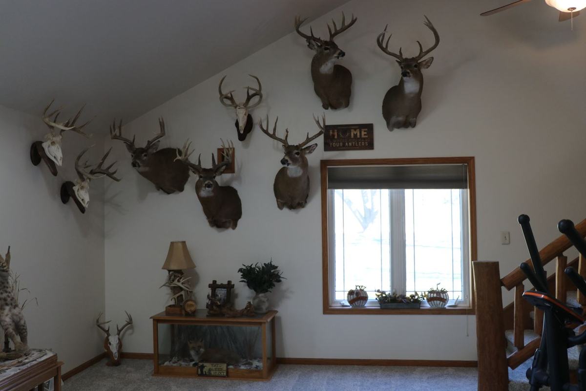 Molzahn Lodge at Double D Whitetail Ranch