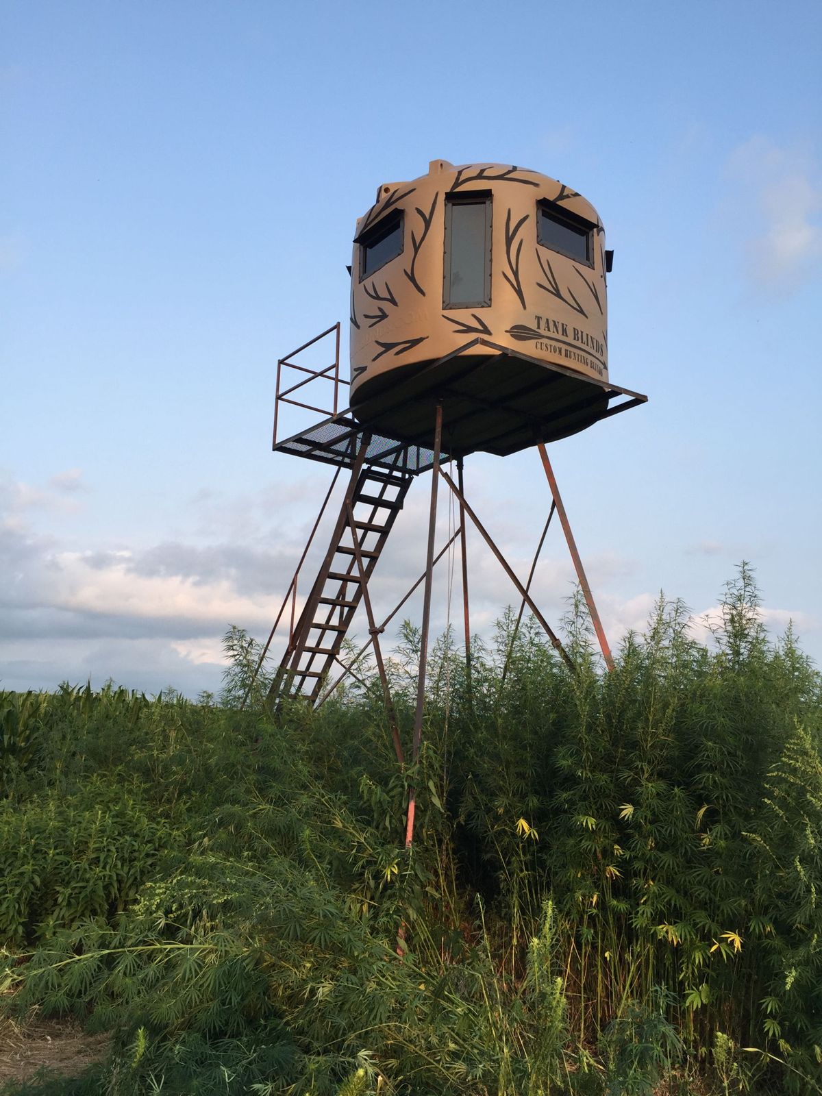 Elevated blind over a managed Kansas food plot at sunrise