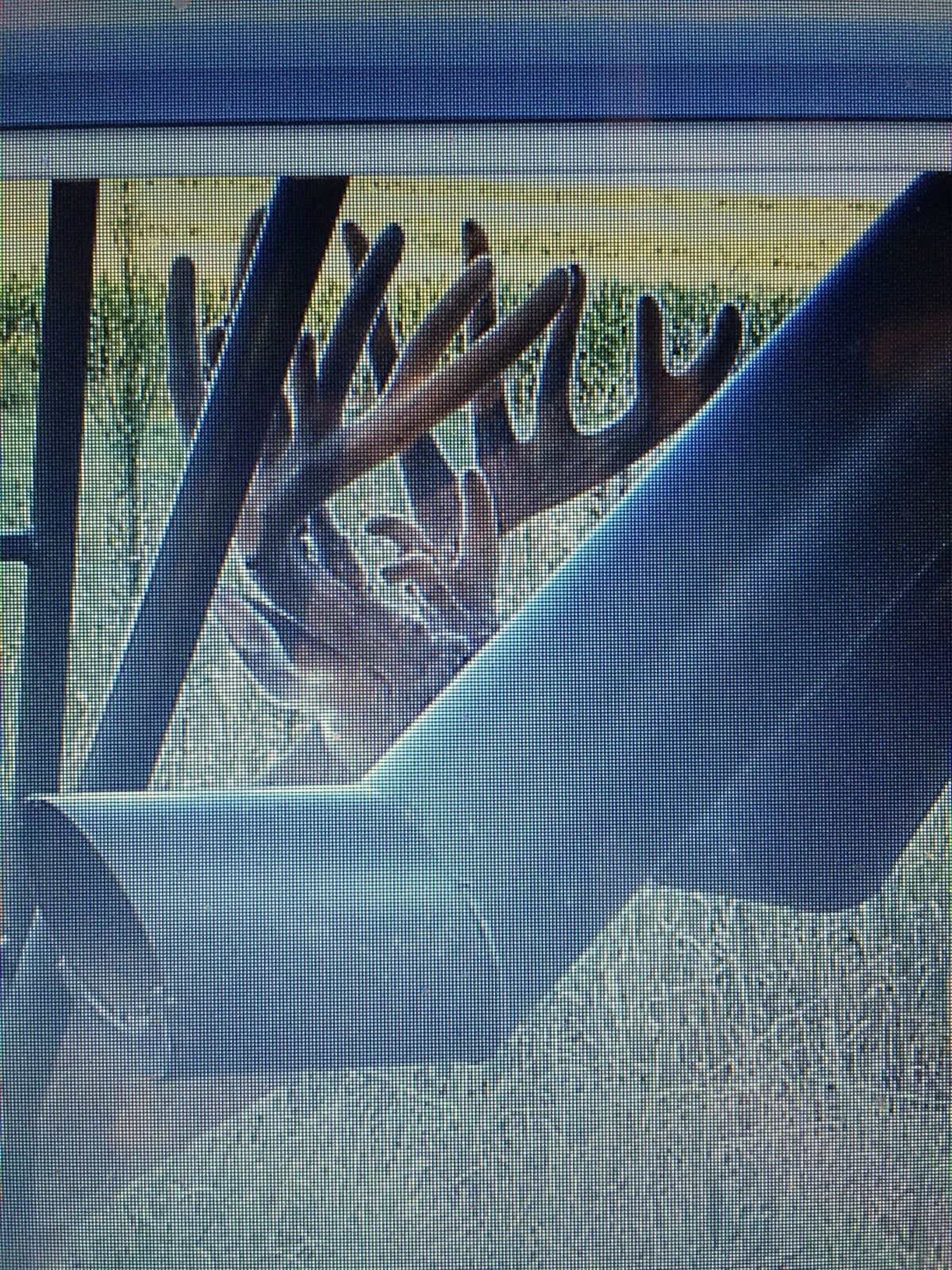 Mounted trophy whitetail